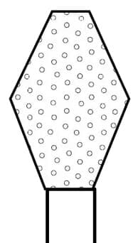Premier Two Striper Diamond Bur FG, Barrel, #234, Coarse, Green, 5/Pk, 2015076 thumbnail 3