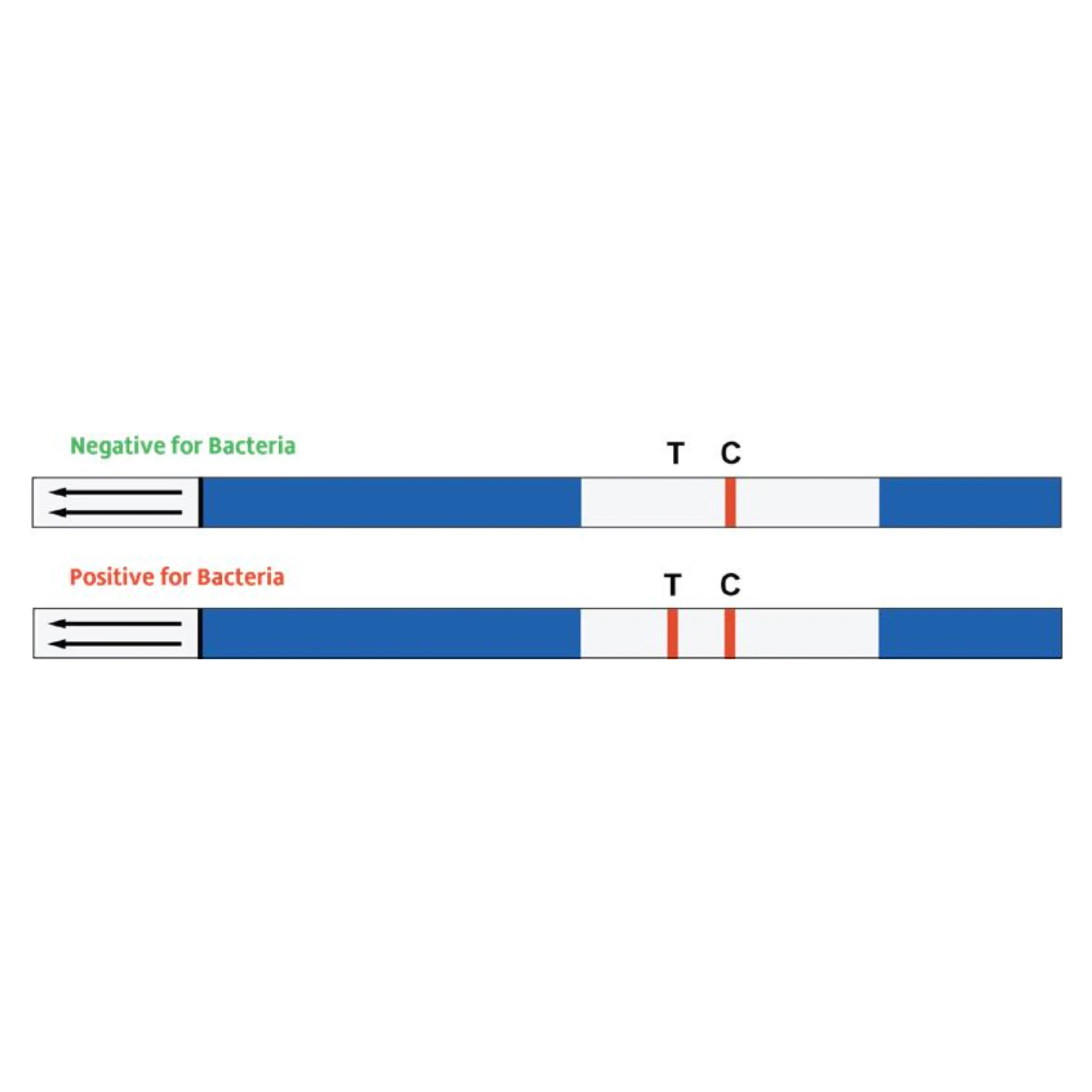 Sterisil FastCheck15 In-Office Dental Unit Waterline Test Strips, 15-Minute Results, 6/Box, FC15-6 thumbnail 14