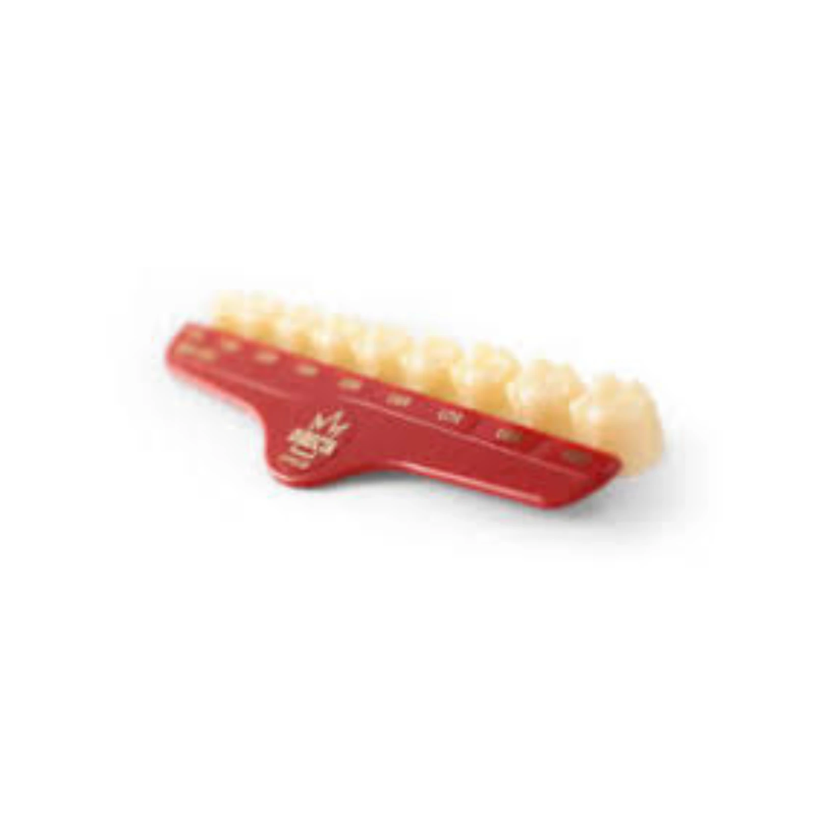 Directa Temporary Polycarbonate Crown, Upper Bicuspid, Size 44, Translucent, Refill Pack of 5, 6092-44 - Temporary Polycarbonate Bicuspid Crowns - Image 1