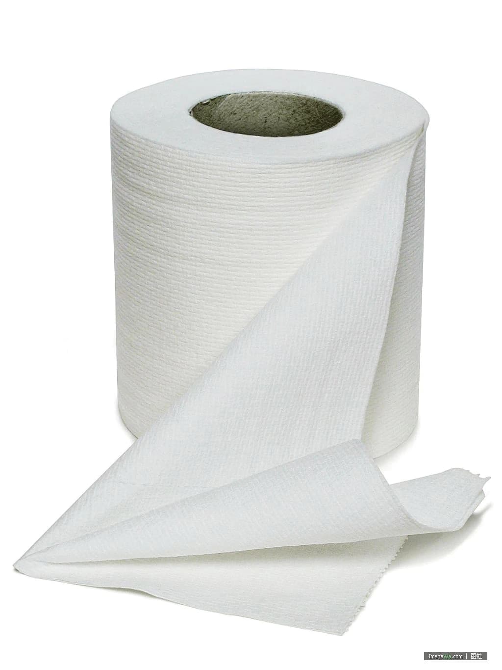 Bath Tissue 2-Ply, 96 Rolls/Case - Bath Tissue 2-Ply 96/Case - Image 1