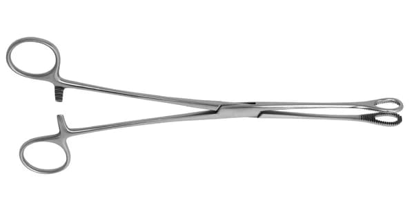 Foerster Sponge Forcep, 9.5" Straight, Stainless Steel, Serrated Tip, Autoclavable - Foerster Sponge Forcep 9.5'' Straight - Image 1