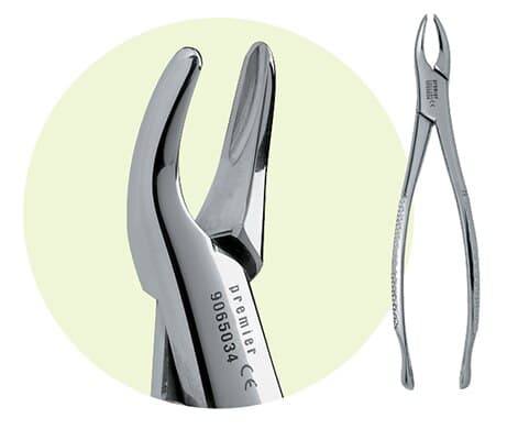 Premier Dental Products #150S Maxillary Extracting Forceps, Adult, Stainless Steel, 6", 9065034 thumbnail 2