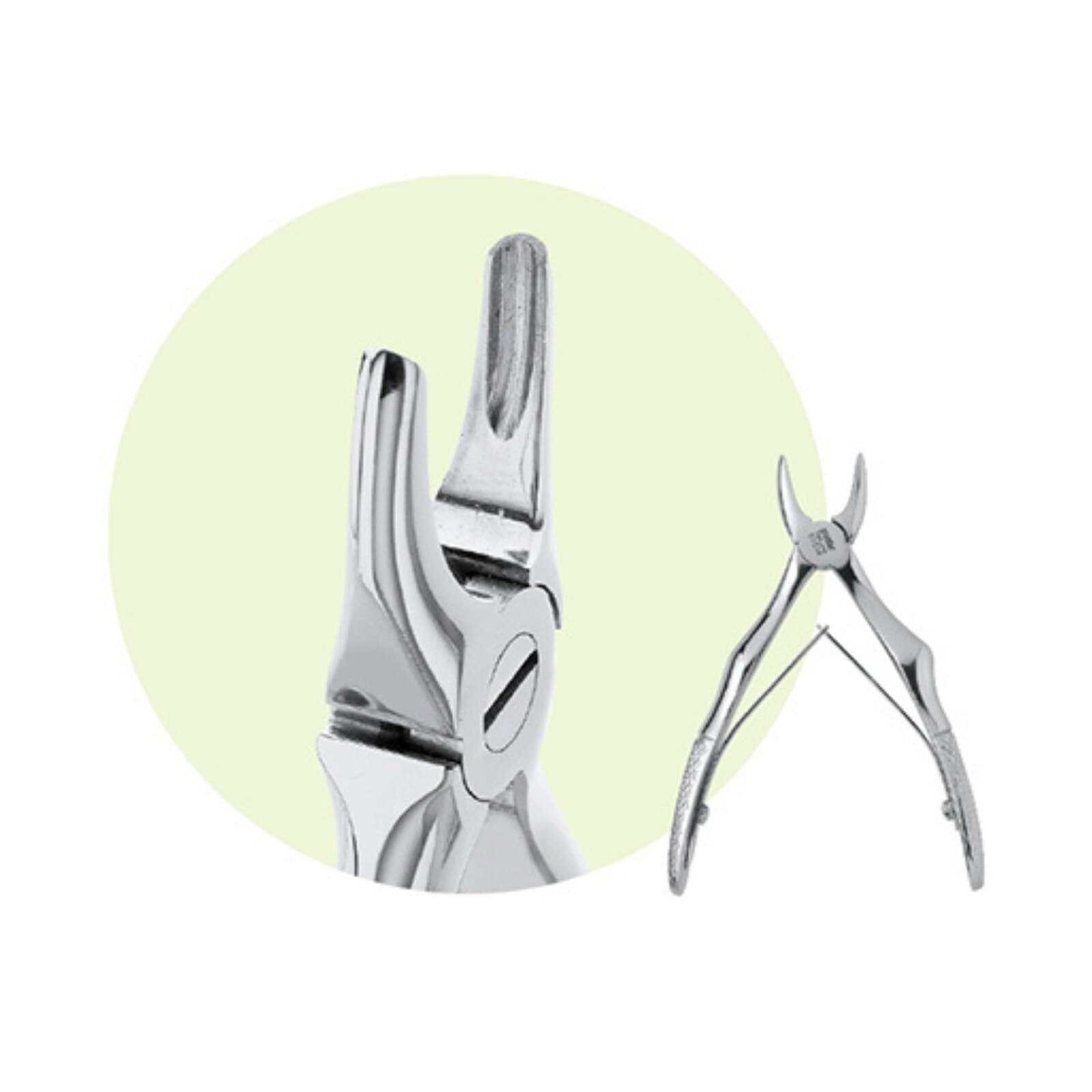 Premier Dental Products Forcep Child Size C4 Maxillary Extracting Forceps, Stainless Steel, Pedodontic, For Laterals, Each, #9065054 thumbnail 2