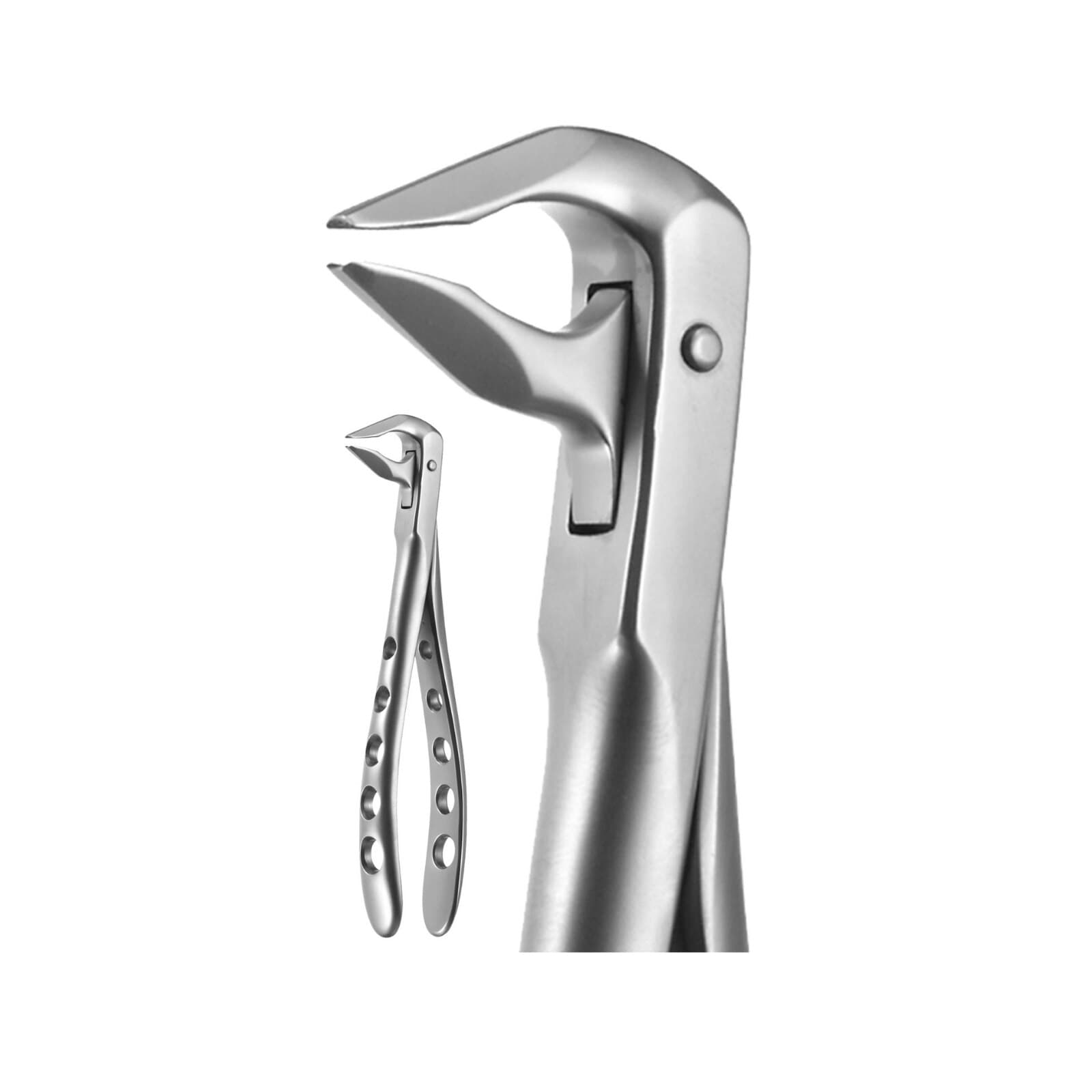 A. Titan Instruments X-TRAC Lower Anterior Extracting Forceps, Beveled Beaks, 3608T thumbnail 2