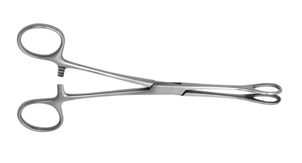 Foerster Sponge Forcep, 7" Straight, Stainless Steel - Foerster Sponge Forcep 7'' Straight - Image 1