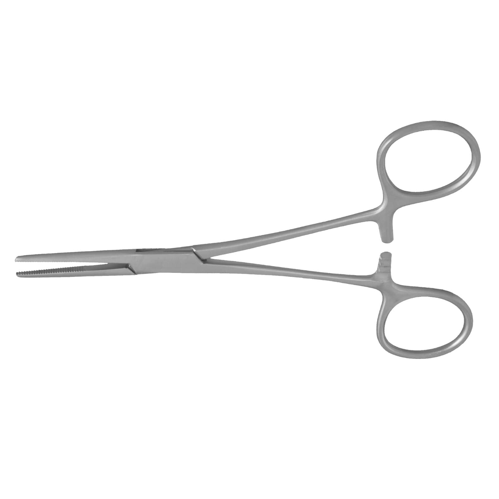 Nordent Hemostat Kelly #103, Straight, 5-3/4" (145mm), Stainless Steel thumbnail 2