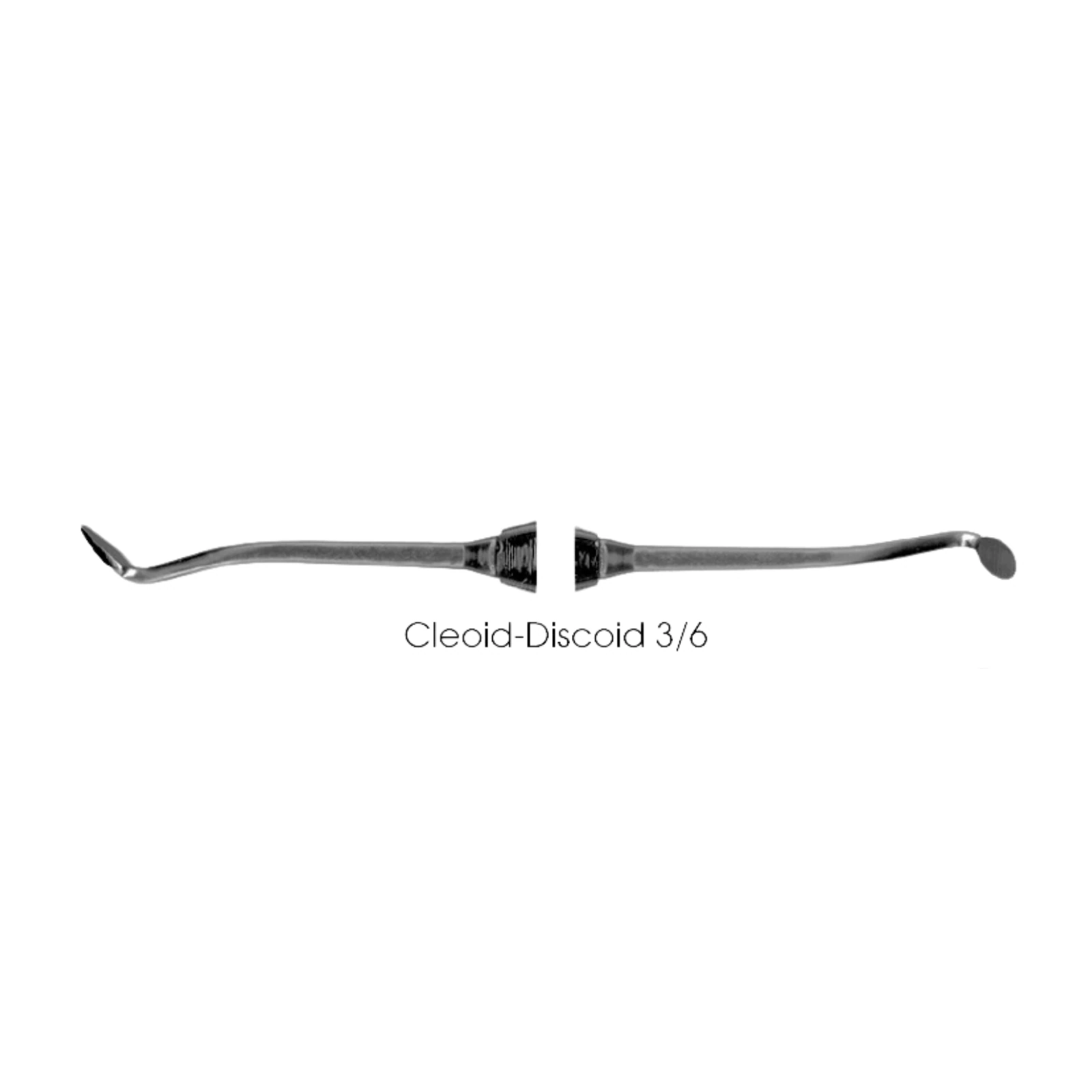 Quala Carver Cleoid-Discoid #3/6 Large - QUALA Carver Cleoid-Discoid #3/6 Large - Image 1