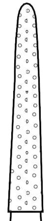 Two Striper Diamond Bur, FG, Flame, #253.10, Fine, Red, 1.6 mm Major/1.0 mm Minor Diameter, 10 mm Length, 5/Pk, 2015091 thumbnail 3