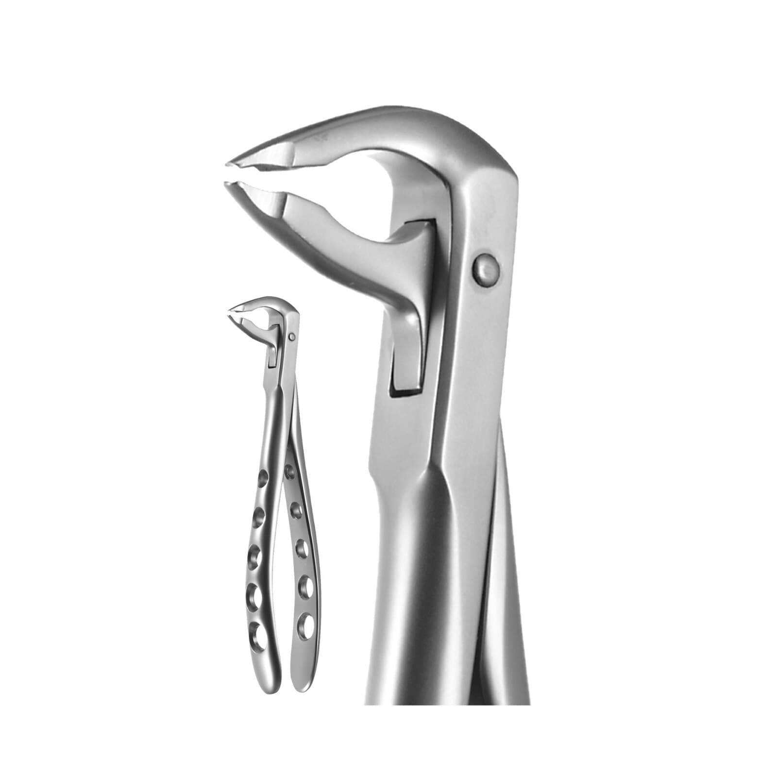 A. Titan Instruments X-TRAC Lower Anterior Extracting Forceps, Notched Beaks, Size 3600N, Stainless Steel, 1 Each thumbnail 2