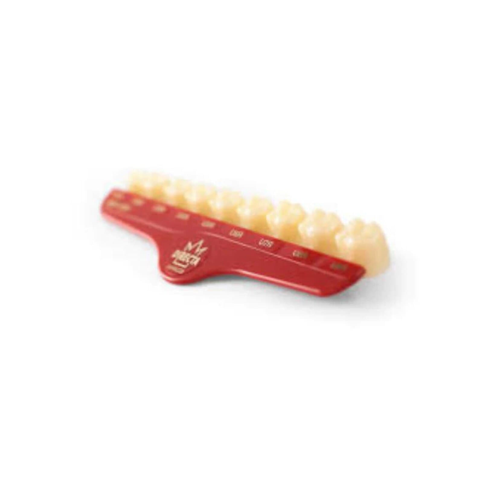 Directa Temporary Polycarbonate Crown, Upper Bicuspid Short, Size #47, Translucent, Refill Pack of 5 (6092-47) - #47 Upper Bicuspids Short Directa Temporary Polycarbonate Crowns Translucent Refill Pack of 5 - Image 1