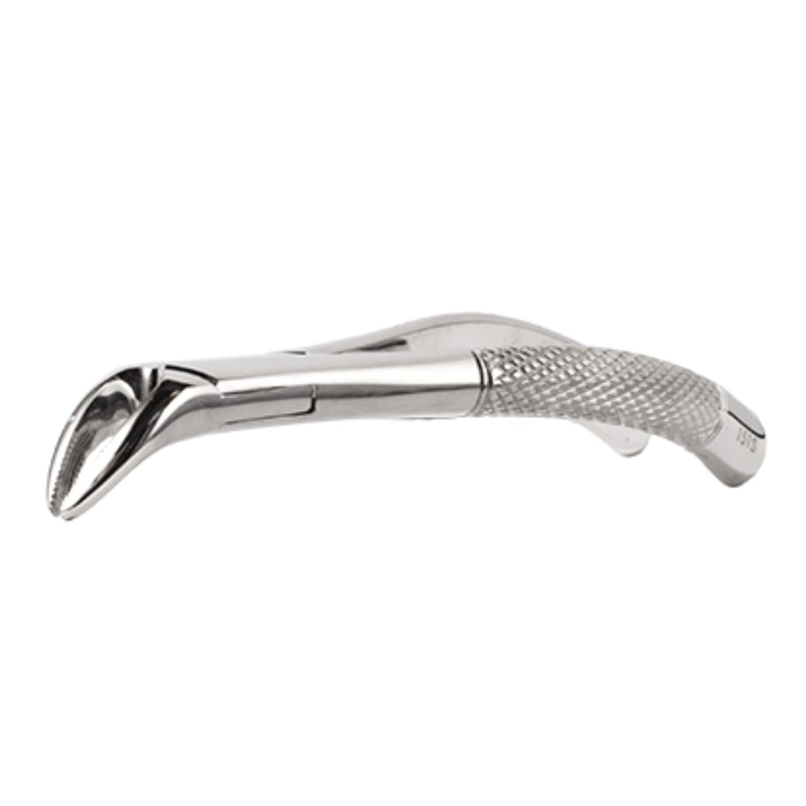 PDT 151S Extra Grip Extracting Forceps, Mandibular Universal, Stainless Steel, T793 thumbnail 3