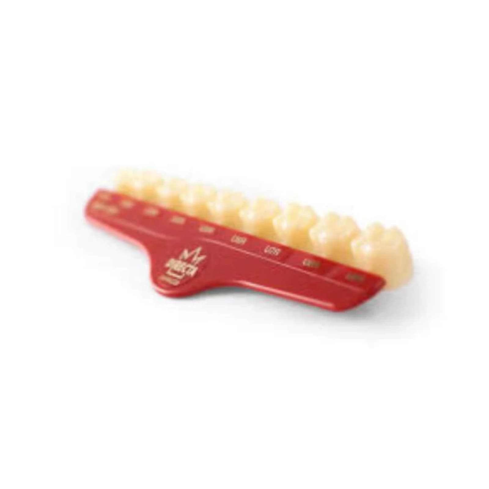 Directa Temporary Polycarbonate Crown, #48 Upper Bicuspid Short, Translucent, Refill Pack of 5 (609248) - #48 Upper Bicuspids Short Directa Temporary Polycarbonate Crowns Translucent Refill Pack of 5 - Image 1