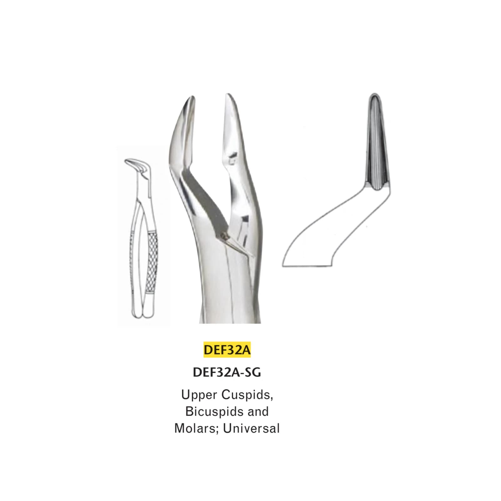 Miltex #32A Universal Extracting Forceps, Serrated, Stainless Steel, 1 Each thumbnail 2