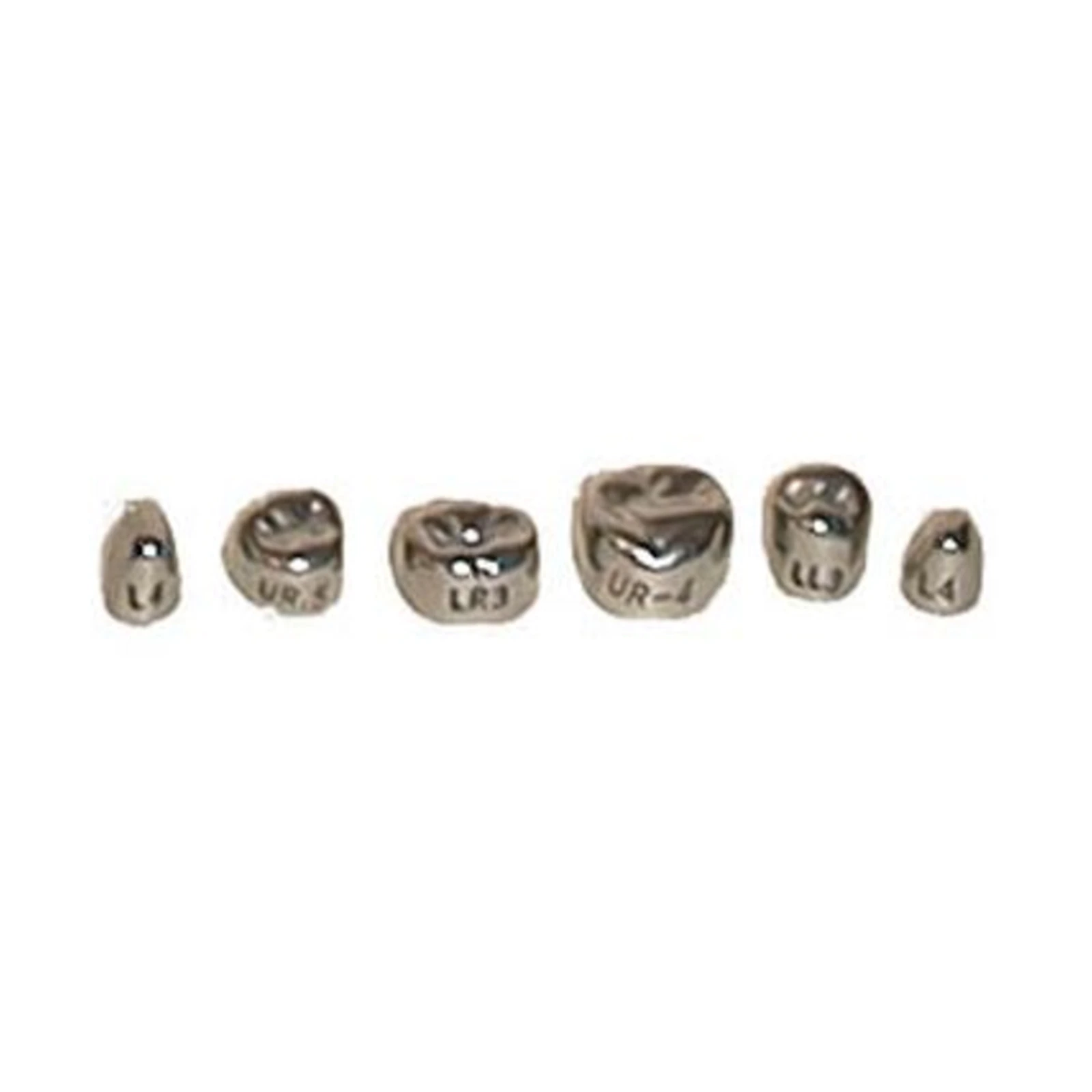 Evolve #7 Stainless Steel Primary Molar Crown, 1st Lower Left, 5/Pk - Evolve #7 Stainless Steel Primary Molar Crown, 1st Lower Left, 5/Pk - Image 1