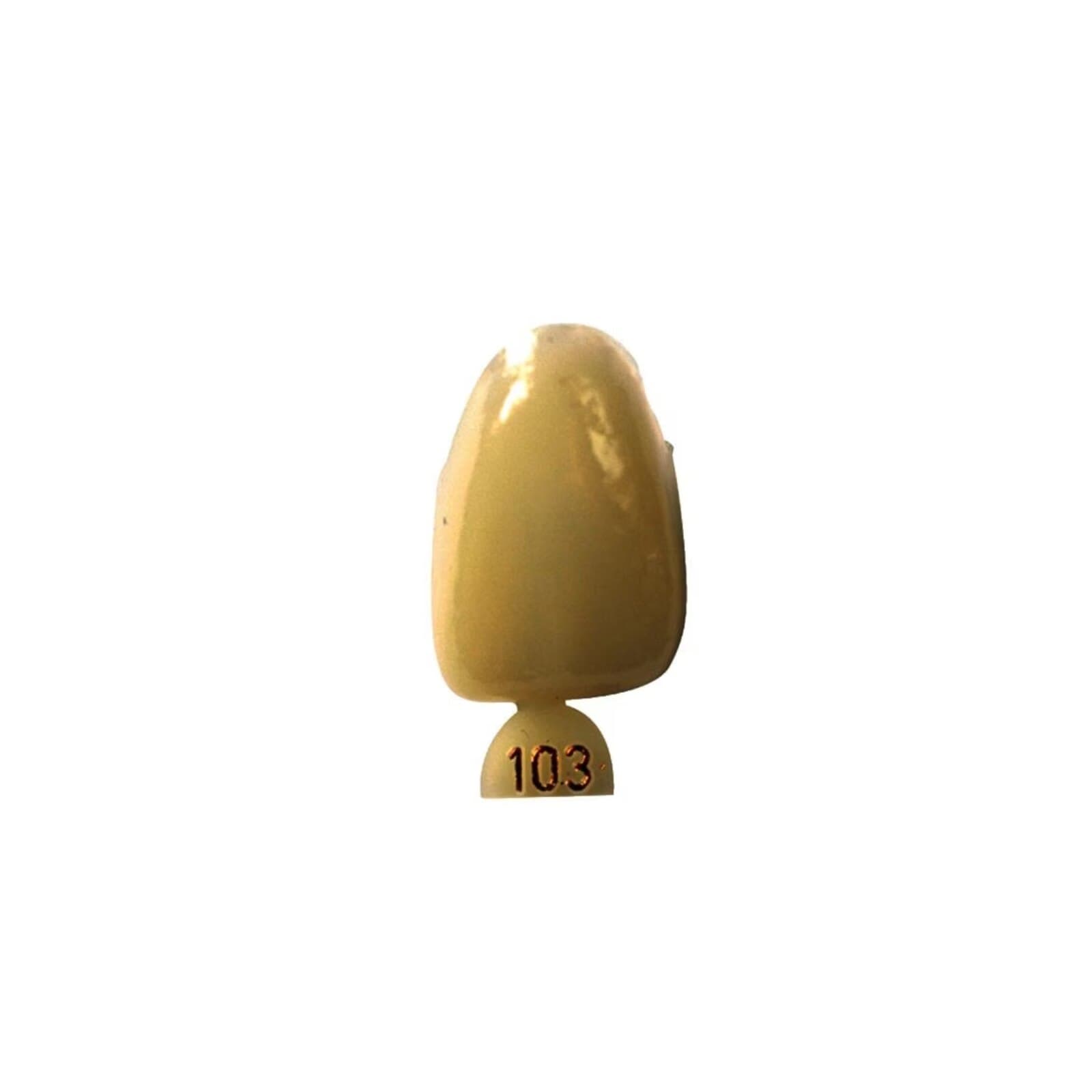 Directa Temporary Polycarbonate Crowns, Translucent, Size #103 (Central), 5/Pk, Ref 609273 thumbnail 2