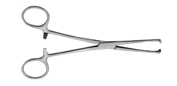 Allis Tissue Forceps, 6 inch, 5x6 Teeth, Stainless Steel - Allis Tissue Forcep 6'' 5X6 - Image 1