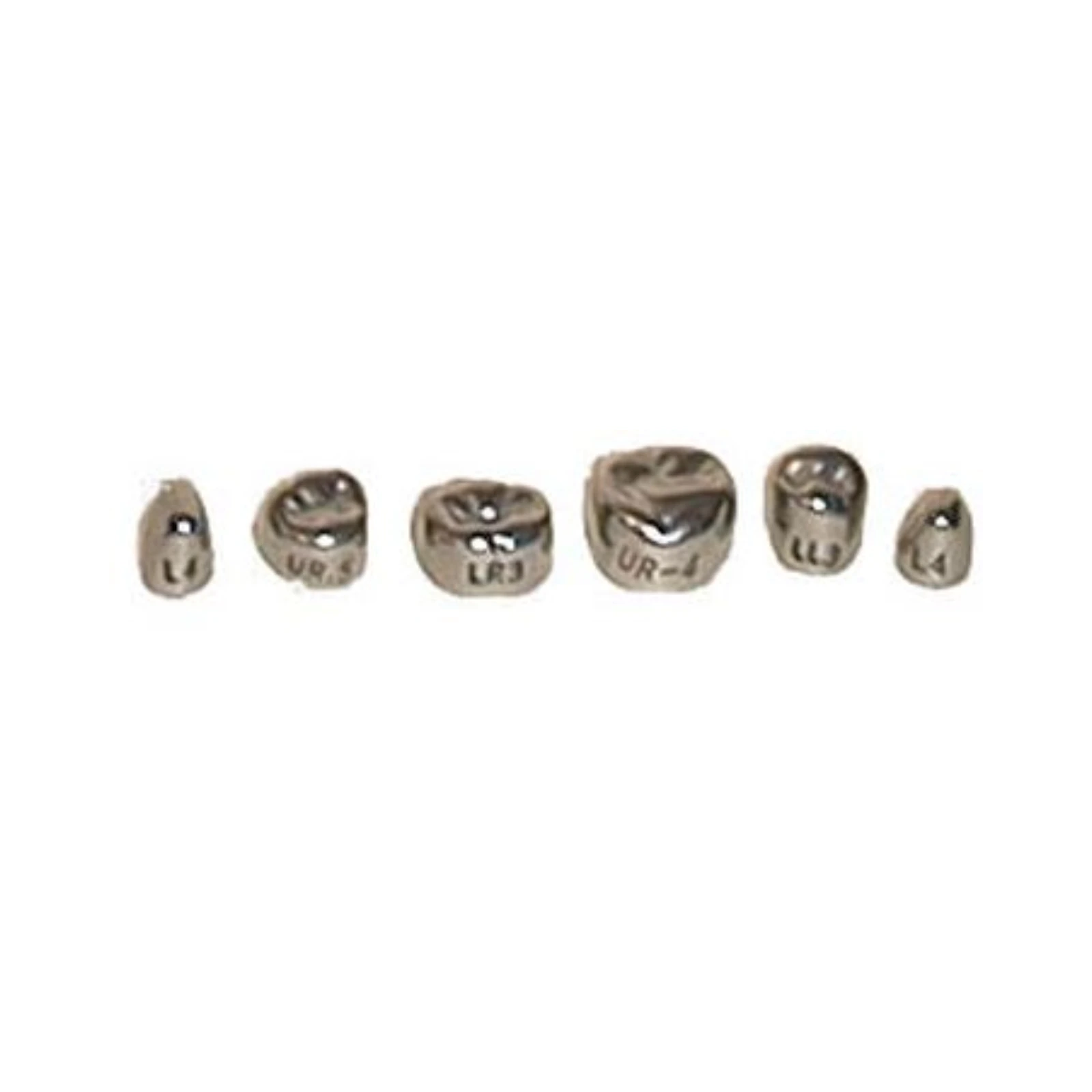 Evolve #5 Stainless Steel Primary Molar Crown, 1st Lower Left, 5/Pk - Evolve #5 Stainless Steel Primary Molar Crown, 1st Lower Left, 5/Pk - Image 1