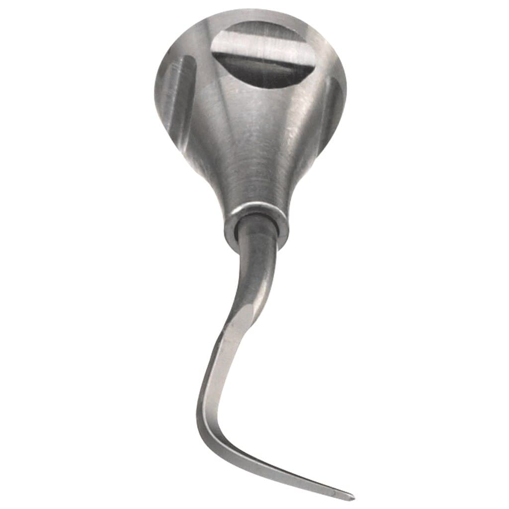 DentalEZ Titan Scaler Tip, Universal, 24 mm, Stainless Steel, 1/Pk, 261668 thumbnail 2