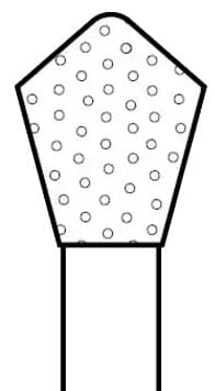Two Striper® Skooter™ Diamond Burs FG, Acorn, T2, Medium, Blue, 3.0 mm, 5/Pkg, 2015192 thumbnail 3