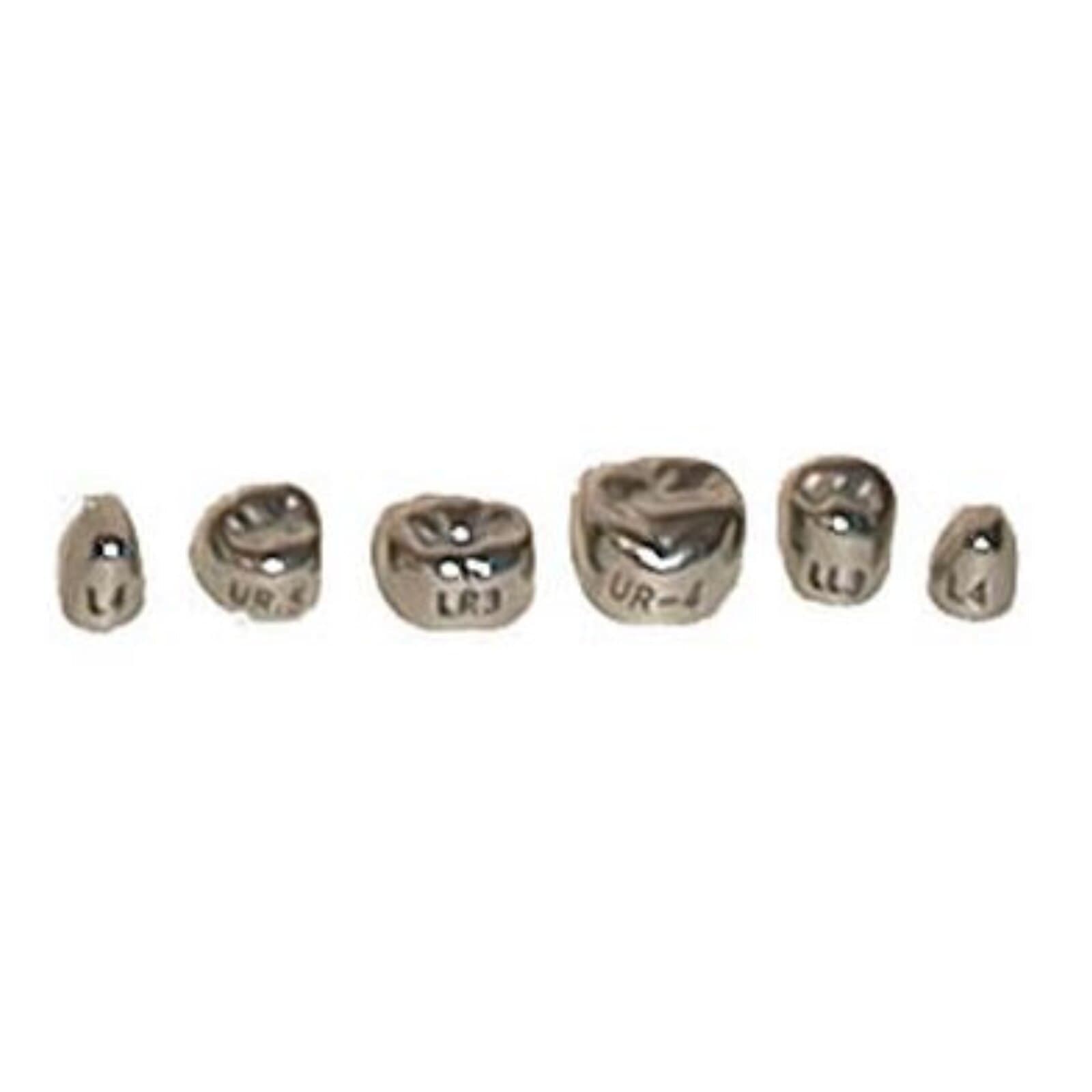 Evolve #7 Stainless Steel Primary Molar Crown, 1st Upper Right, 5/Pk - Evolve #7 Stainless Steel Primary Molar Crown, 1st Upper Right, 5/Pk - Image 1