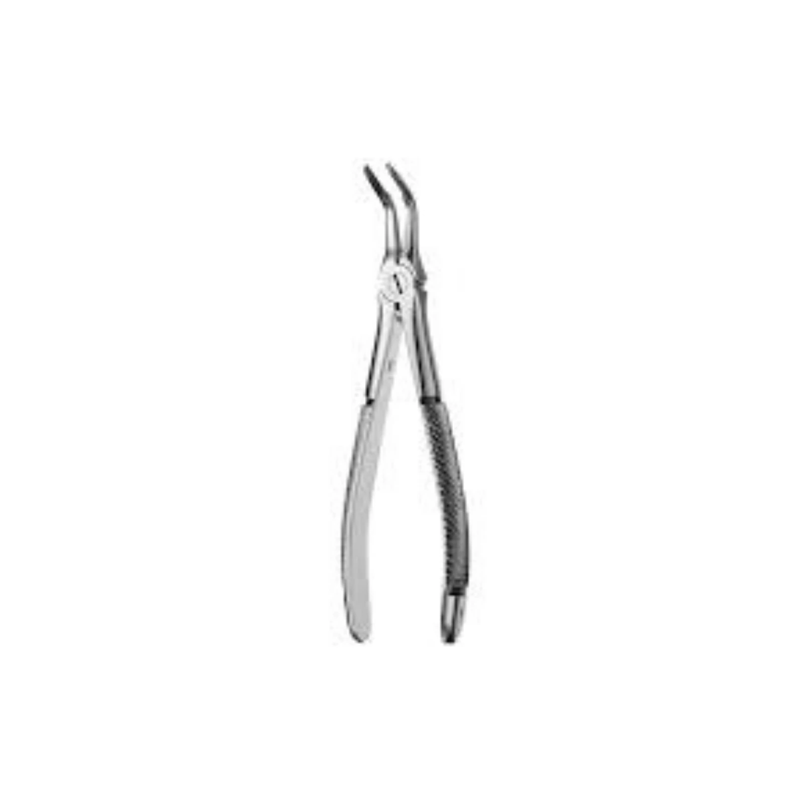 Hu-Friedy Forcep Root #46L, FX46L, European Style, Serrated, Lower Roots, Stainless Steel thumbnail 3