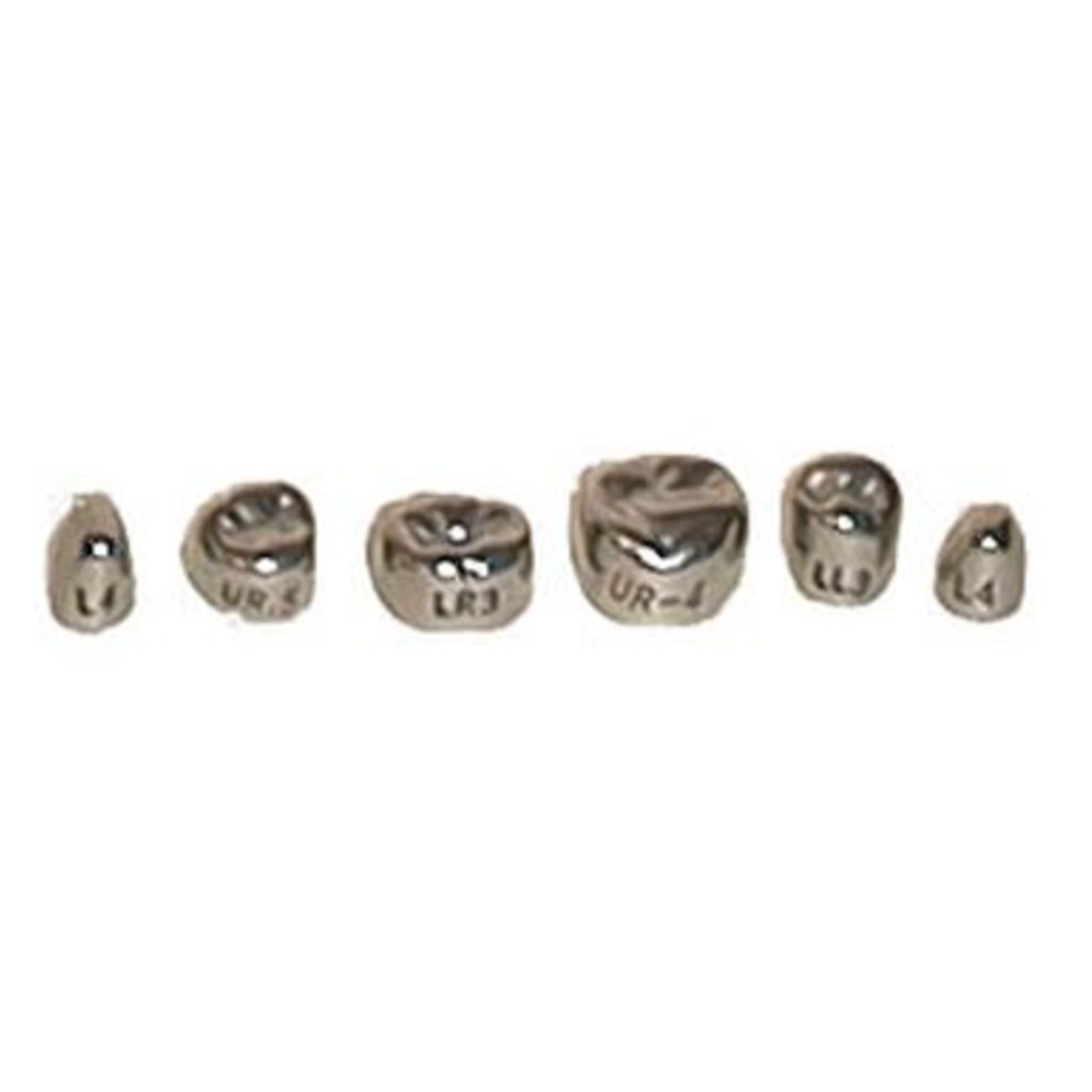 Evolve #6 Stainless Steel Primary Molar Crown, 1st Upper Left, 5/Pk - Evolve #6 Stainless Steel Primary Molar Crown, 1st Upper Left, 5/Pk - Image 1
