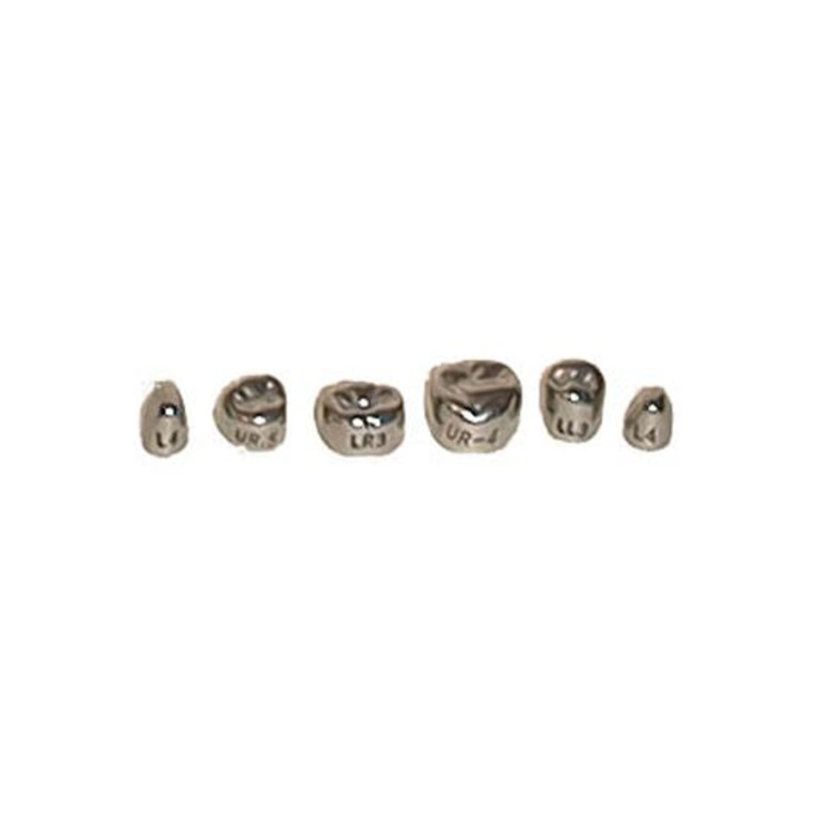 Evolve Stainless Steel Primary Molar Crowns, 1st Upper Left (#5), 5/Box - House Brand #5 Upper Left 1st Primary Molar Stainless Steel Crown Forms 5/Box - Image 1