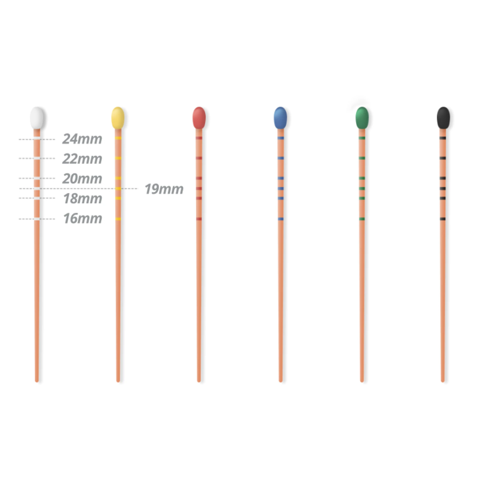 Gutta Percha Points, .06 Taper, Size #55, 60/Pack - Gutta Percha .06 Taper 60/Pk #55 - Image 1