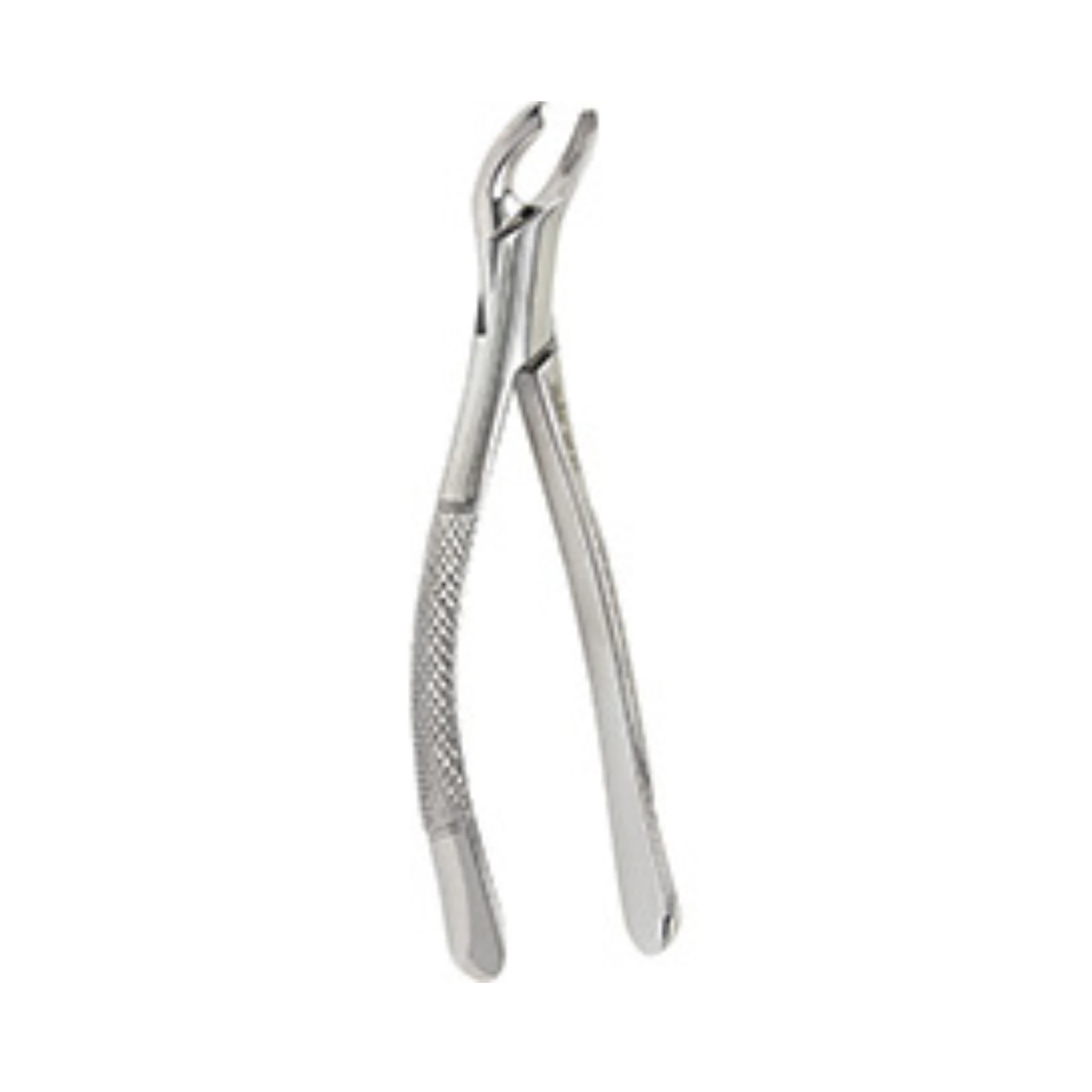 Miltex #217 Universal Extracting Forceps, 1st & 2nd Lower Molar, Stainless Steel, 1/Pkg thumbnail 2