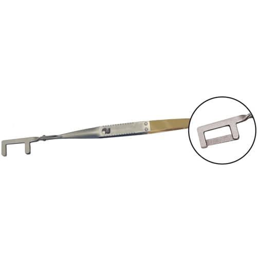 Laschal Straight Polishing Forceps with Thumb Lock, Inline Prongs - Laschal Straight polishing forceps with thumb lock. Prongs are inline - Image 1