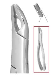Nordent Extraction Forceps, Upper Universal, Anatomical Beaks, Serrated, #150AS thumbnail 7