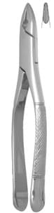 Nordent Extraction Forceps, Upper Incisor Standard #1, Stainless Steel, American Pattern thumbnail 5