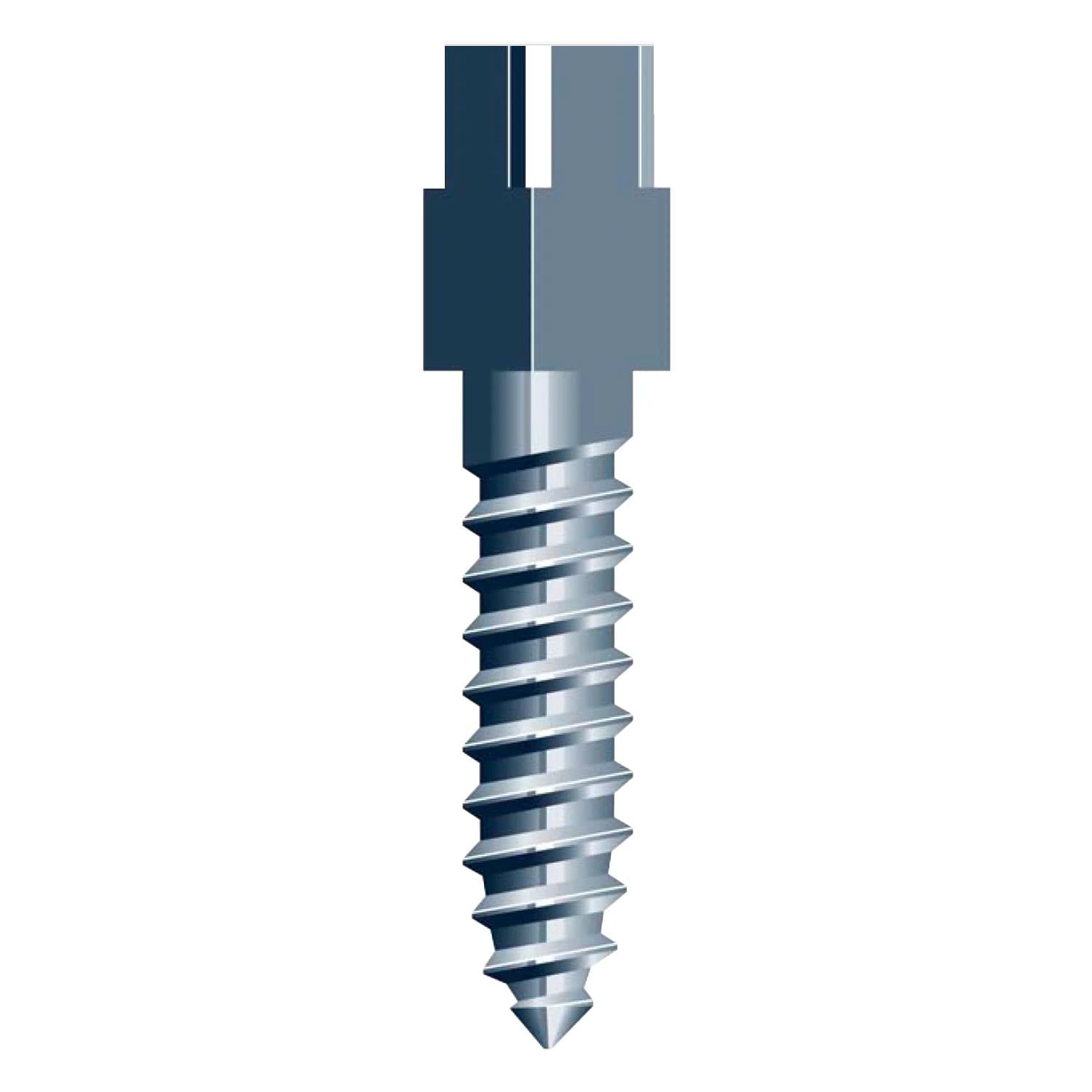 Nordin Titanium Conical Cross Head Screw Post L6, Ø1.80mm x 11.8mm, 6/Pk, #04-220 thumbnail 2