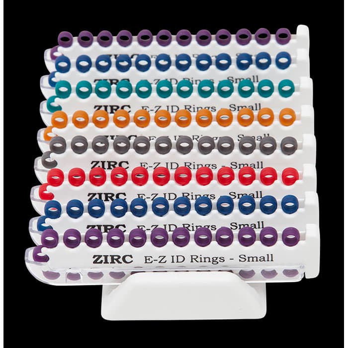 Zirc E-Z ID Instrument Rings, Small 1/8" Assorted Neon, 200/Pk, 70Z110 thumbnail 13