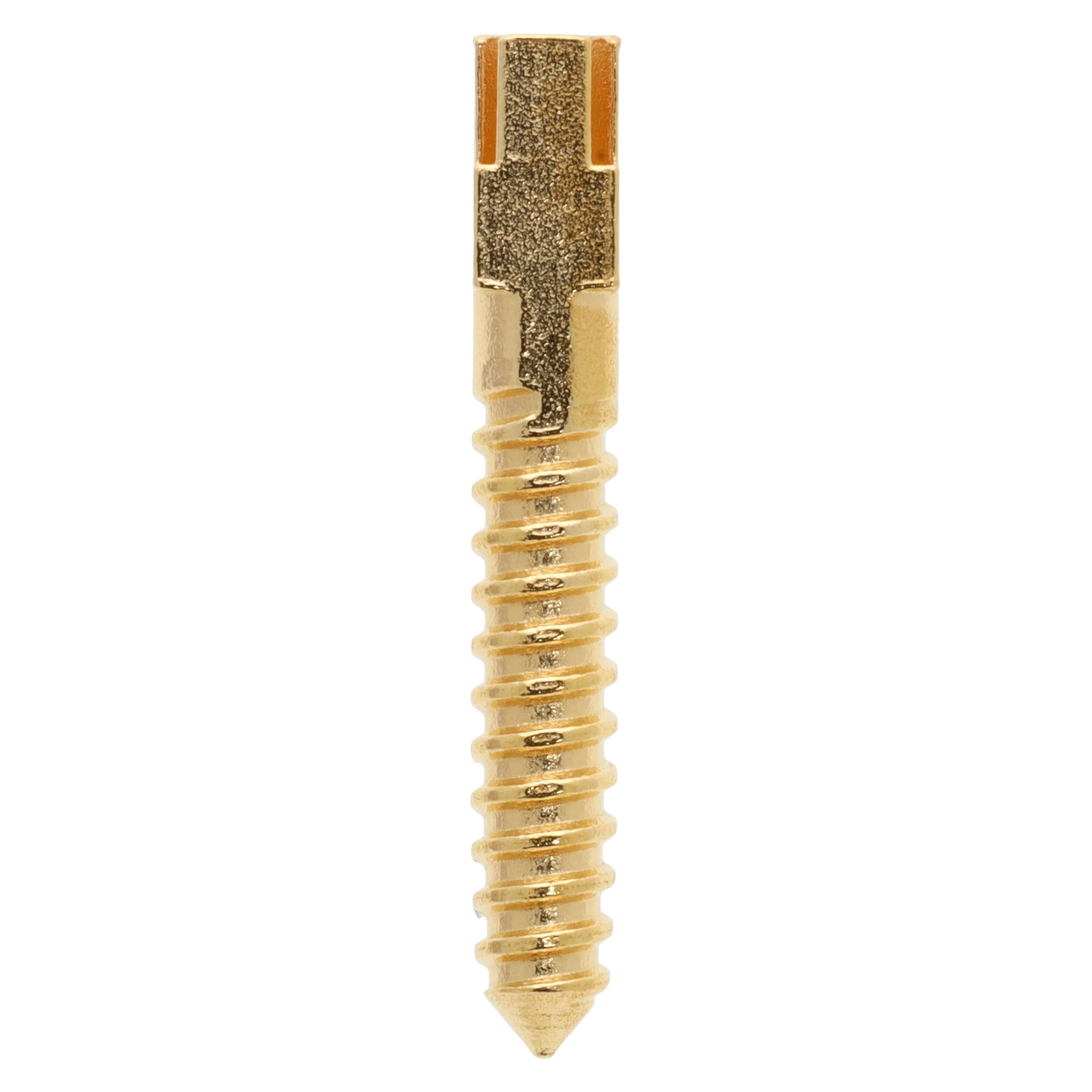 Henry Schein Gold-Plated Screw Posts, Long 12 mm, Refill, 12/Box