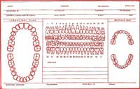 Record Cards 5x8 #211, 2-Sided, White, Red Ink, 110 Lb Index Stock, 100/Box