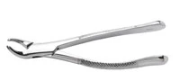 Forcep Extracting #151 SG, Serrated, Lower Universal, Stainless Steel, Each