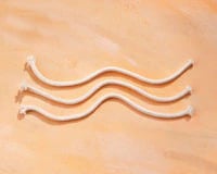 Wicks for Alcohol Lamp, 12/Package