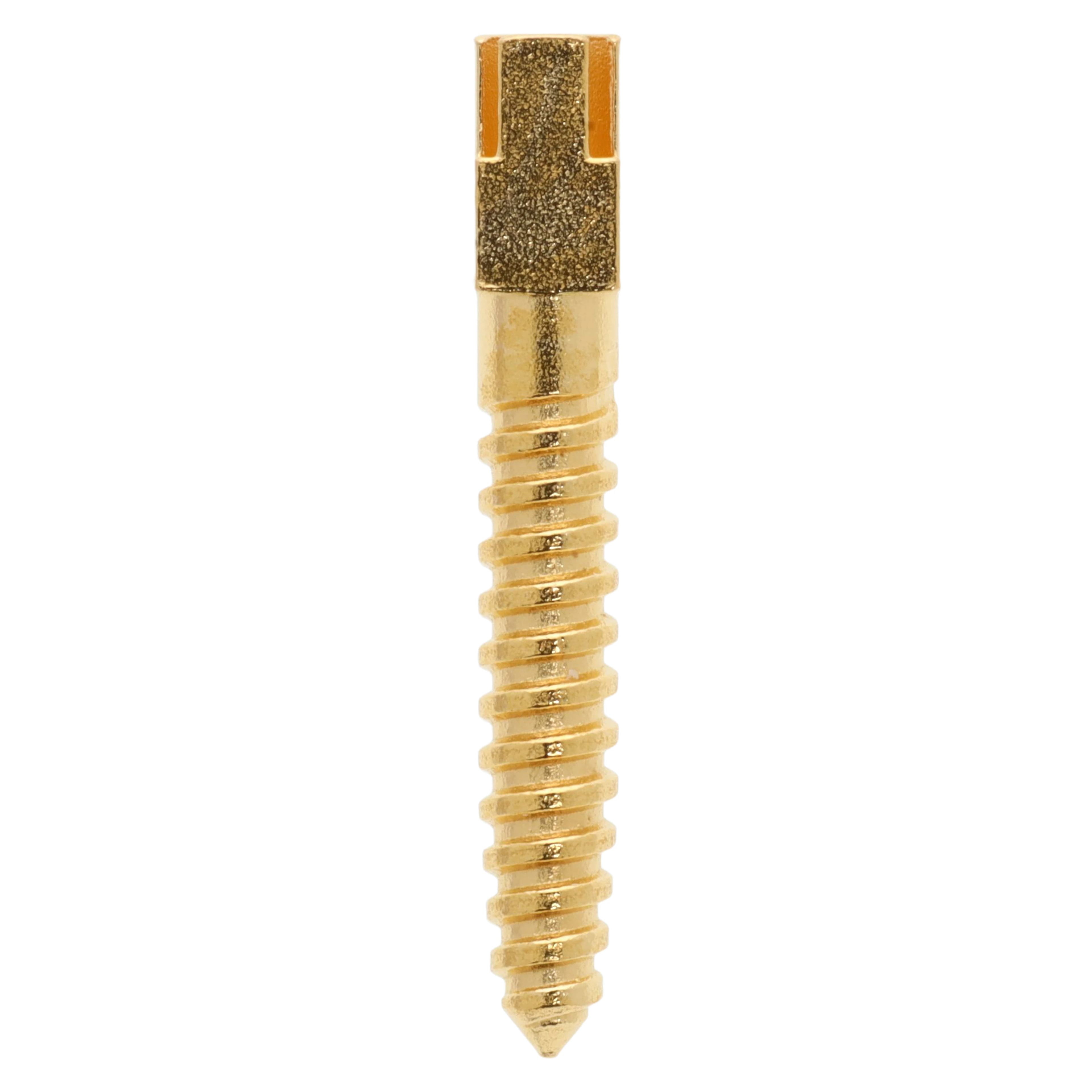 Henry Schein Gold-Plated Screw Posts, Long 12 mm, Refill, 12/Box