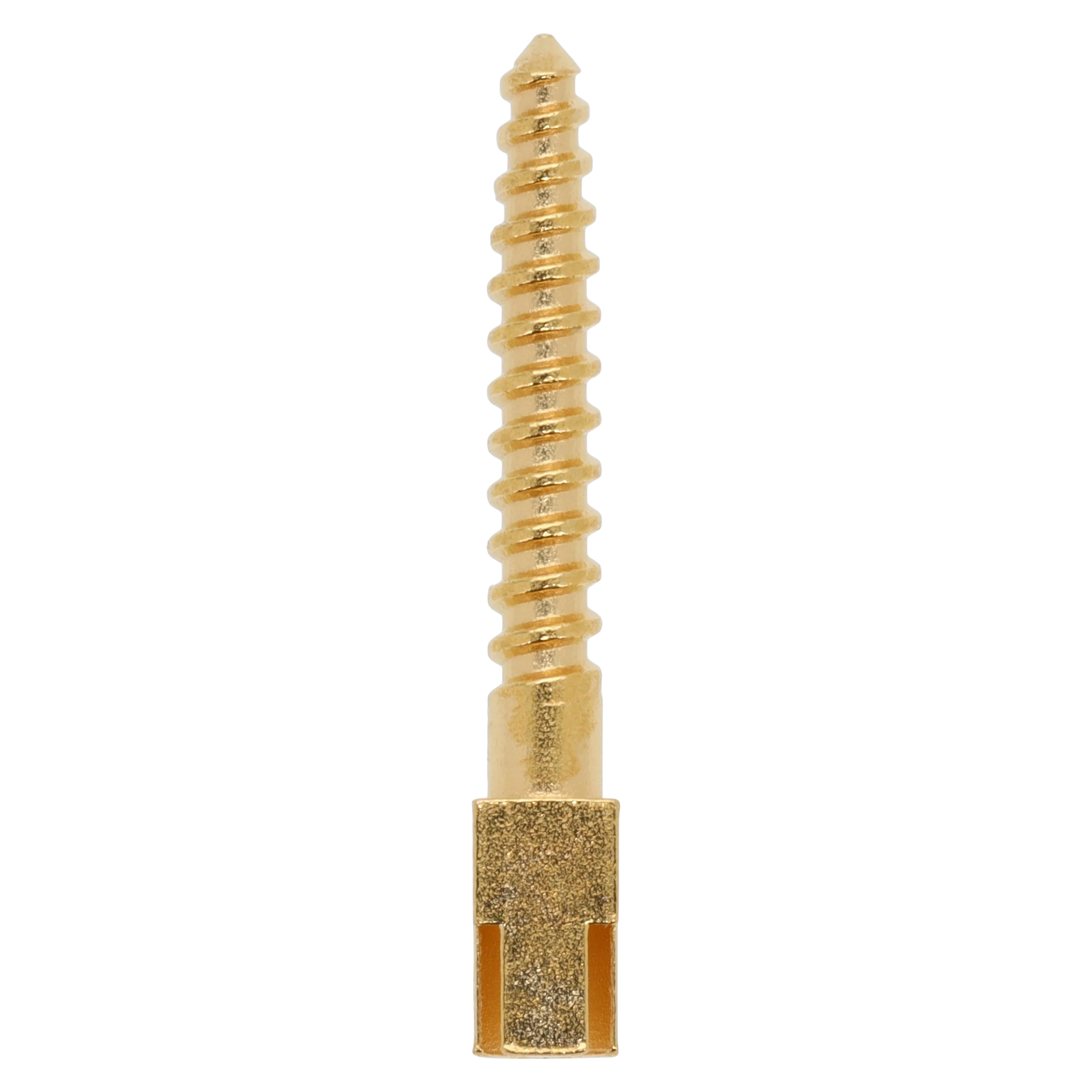 Henry Schein Gold-Plated Screw Posts, Long 12 mm, Refill, 12/Box