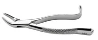 Forcep Extracting #103 SG, Bicuspid Incisor and Root Lower Universal, Serrated, Stainless Steel, Each