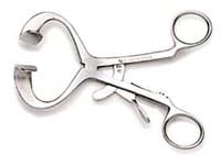 Molt Mouth Gag, Adult, Reusable Stainless Steel, Each