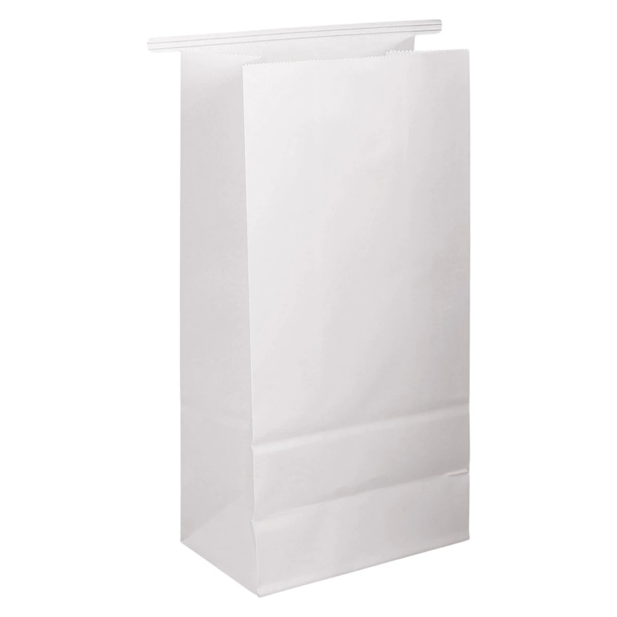 Select Dental Delivery Bags Heavy Duty, 5-1/2" x 3-1/2" x 11", 100/Box