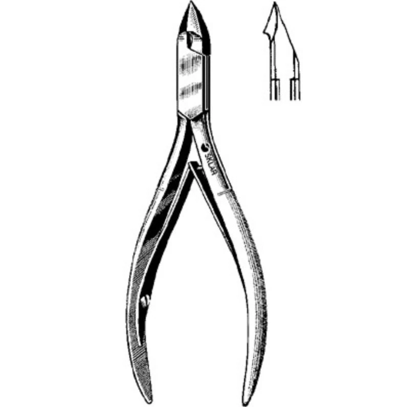 Sklar Instruments Tissue Nipper, 4" Length, 6mm Convex Jaws, Stainless Steel