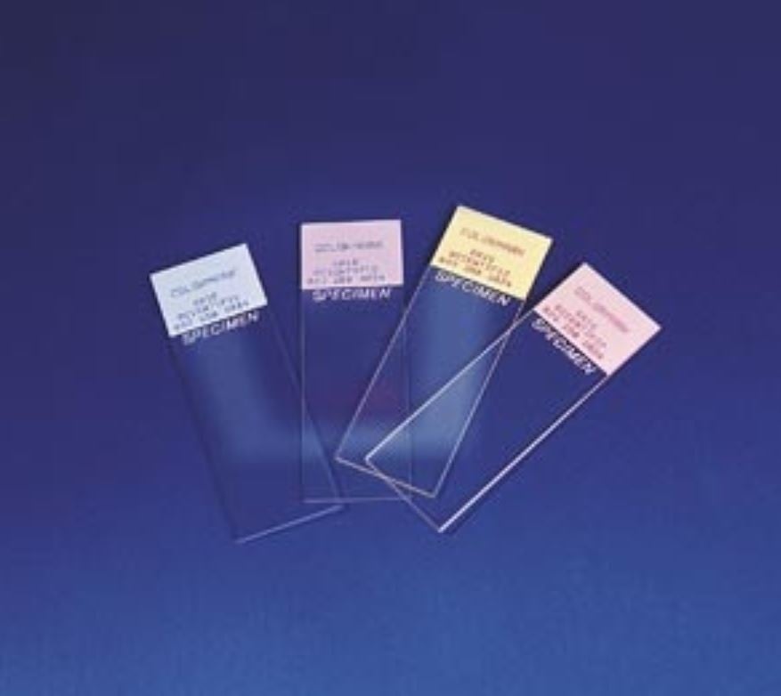 ColorFrost Plus Frosted Microscope Slides, 3x1", Blue, Positive Charge, 10 Gross/Case