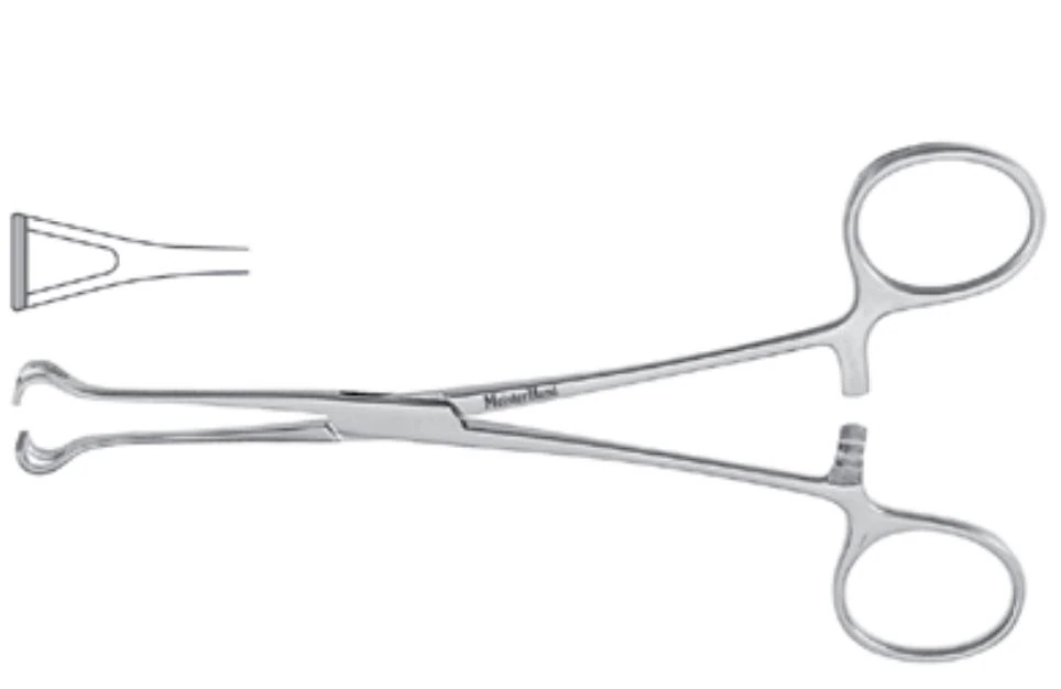 Meister-Hand Babcock Tissue Forceps, Straight, 6-1/4", Stainless Steel, Autoclavable