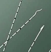 Bard Medical Urethral Catheter, Open Tip, Polyurethane, 5 Fr