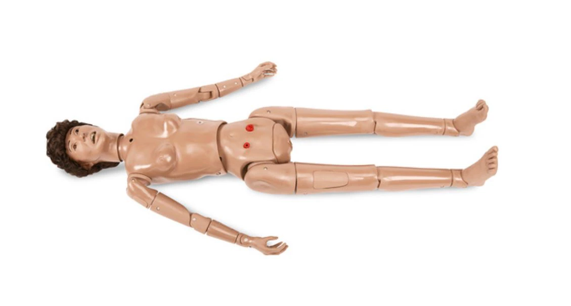 Life/form Nursing Skills Full Body Manikin, 58" Adult, Each