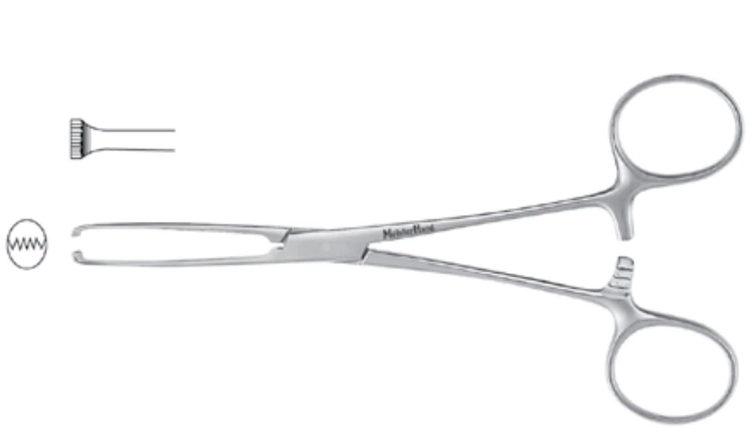 Meister-Hand Allis Tissue Forceps, Straight, 7-1/4", Stainless Steel, Autoclavable