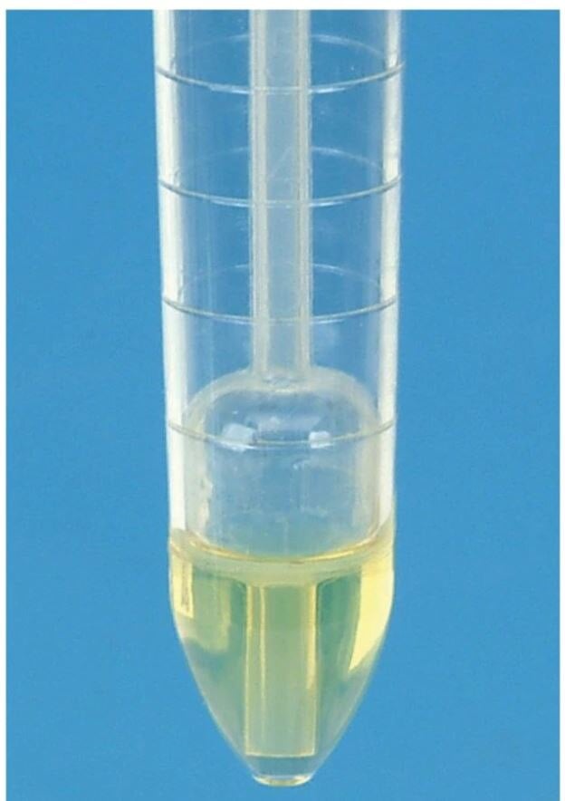 Fisherbrand Polystyrene Tube Caps for Urine Sedimentation System, White, 1000/Case